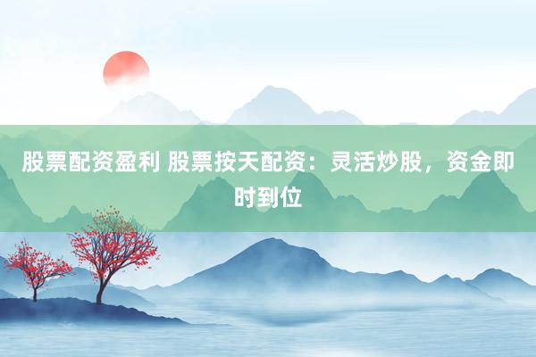 股票配资盈利 股票按天配资：灵活炒股，资金即时到位