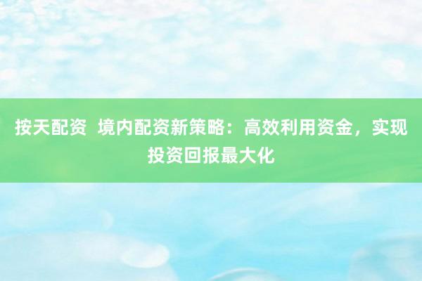 按天配资  境内配资新策略：高效利用资金，实现投资回报最大化