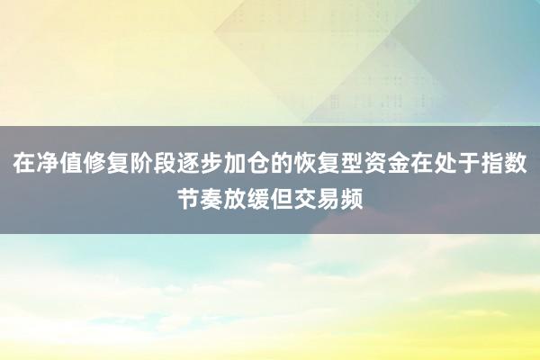 在净值修复阶段逐步加仓的恢复型资金在处于指数节奏放缓但交易频