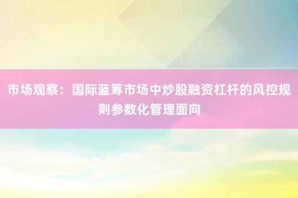市场观察：国际蓝筹市场中炒股融资杠杆的风控规则参数化管理面向