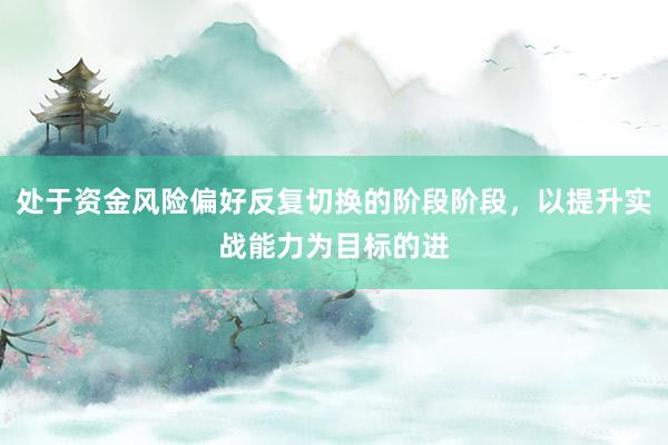 处于资金风险偏好反复切换的阶段阶段，以提升实战能力为目标的进
