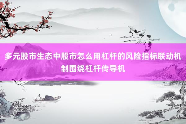 多元股市生态中股市怎么用杠杆的风险指标联动机制围绕杠杆传导机