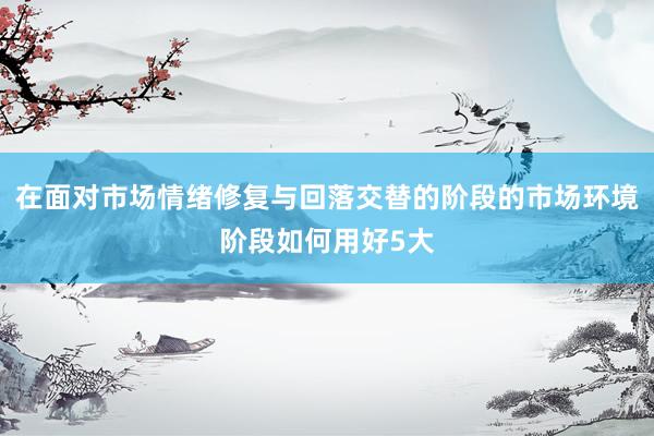 在面对市场情绪修复与回落交替的阶段的市场环境阶段如何用好5大