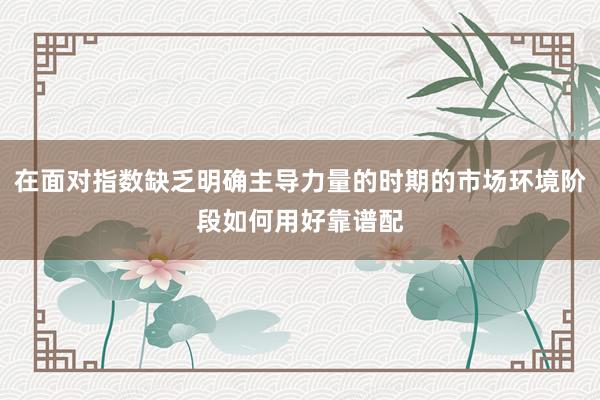 在面对指数缺乏明确主导力量的时期的市场环境阶段如何用好靠谱配